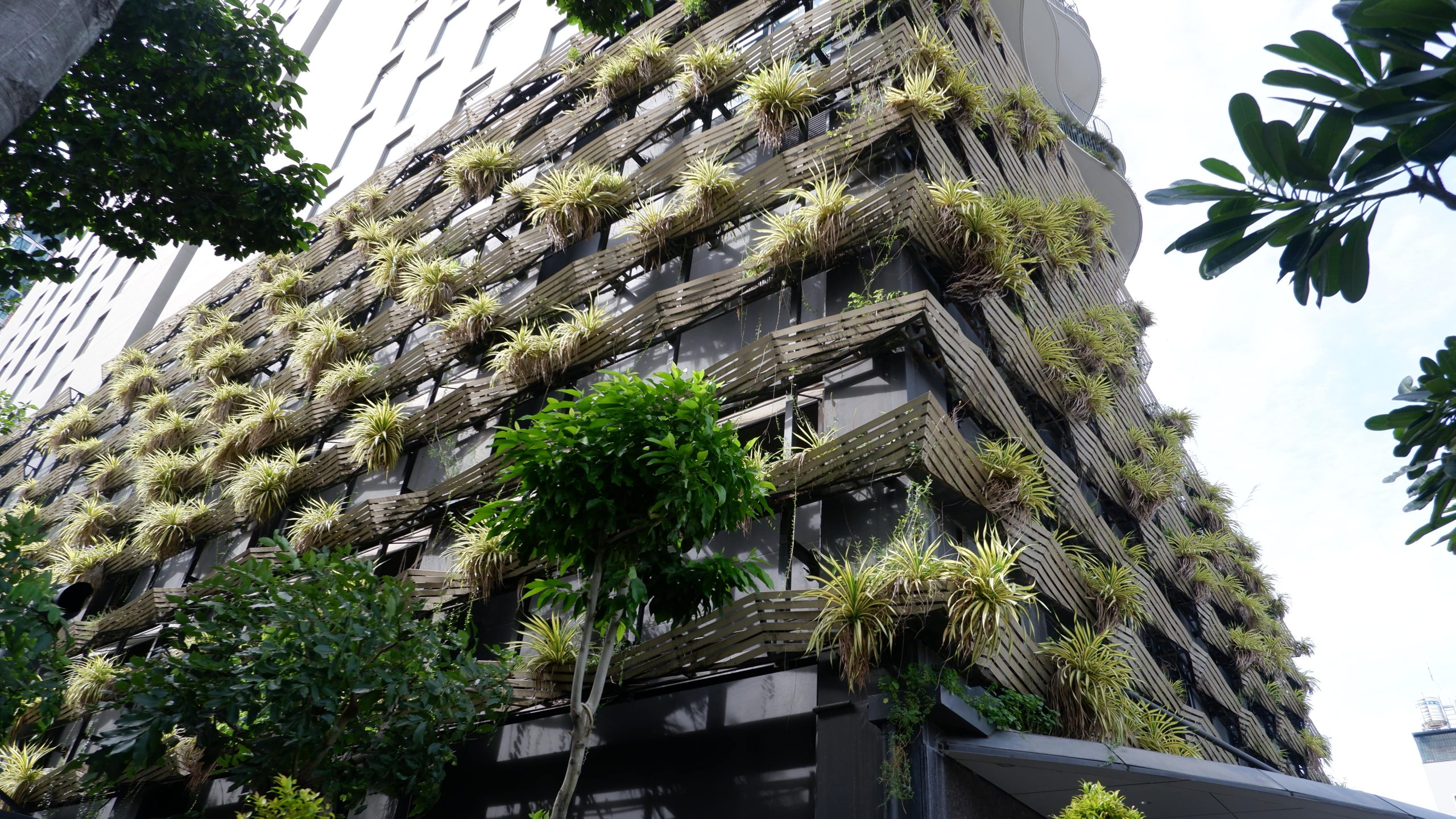 waterina-suites