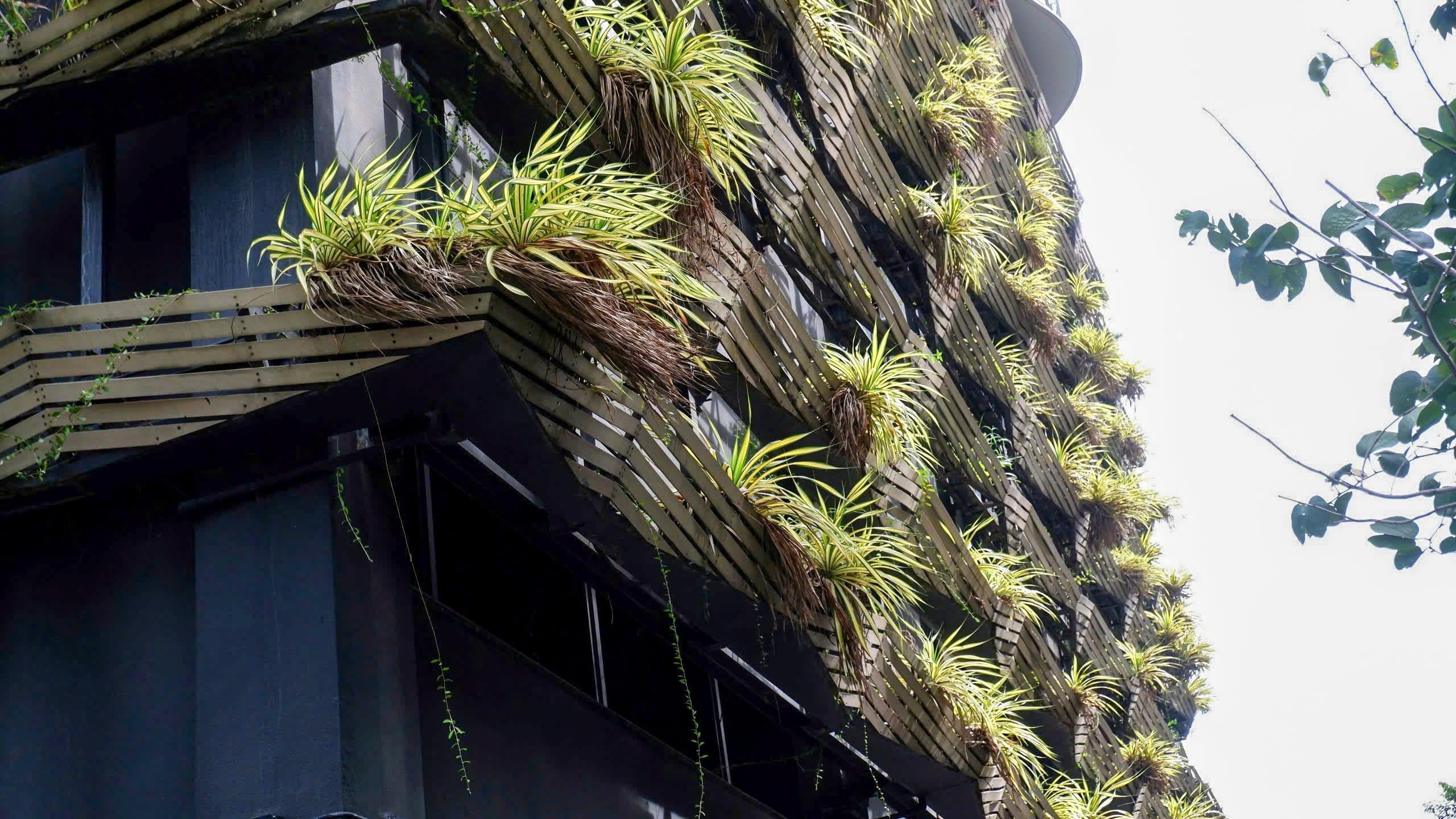waterina-suites