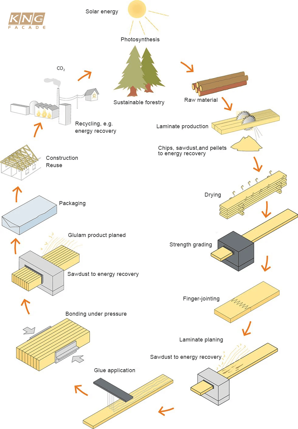 glulam wood glulam wood
