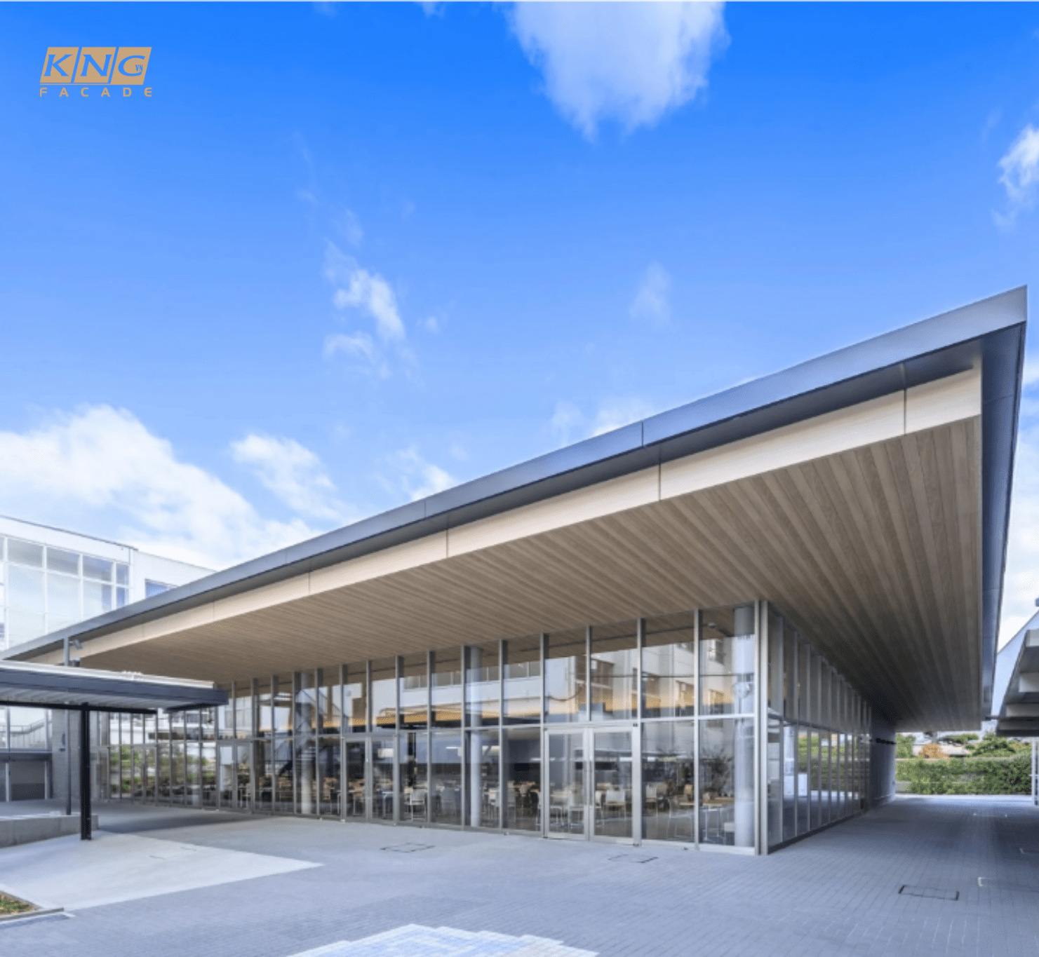 tấm xi măng giả gỗ đẹp tấm xi măng giả gỗ đẹp