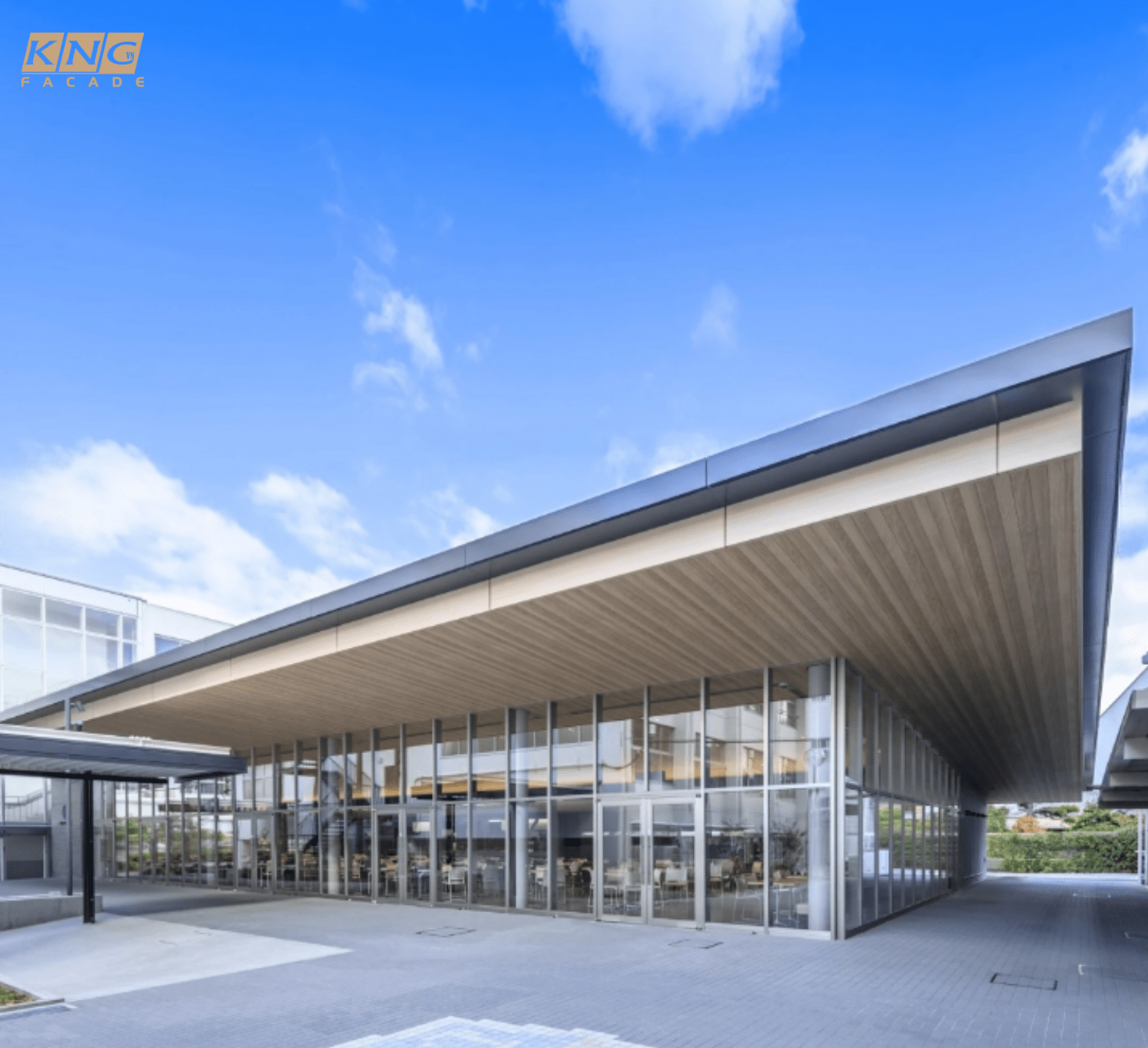 xi măng vân gỗ  xi măng vân gỗ