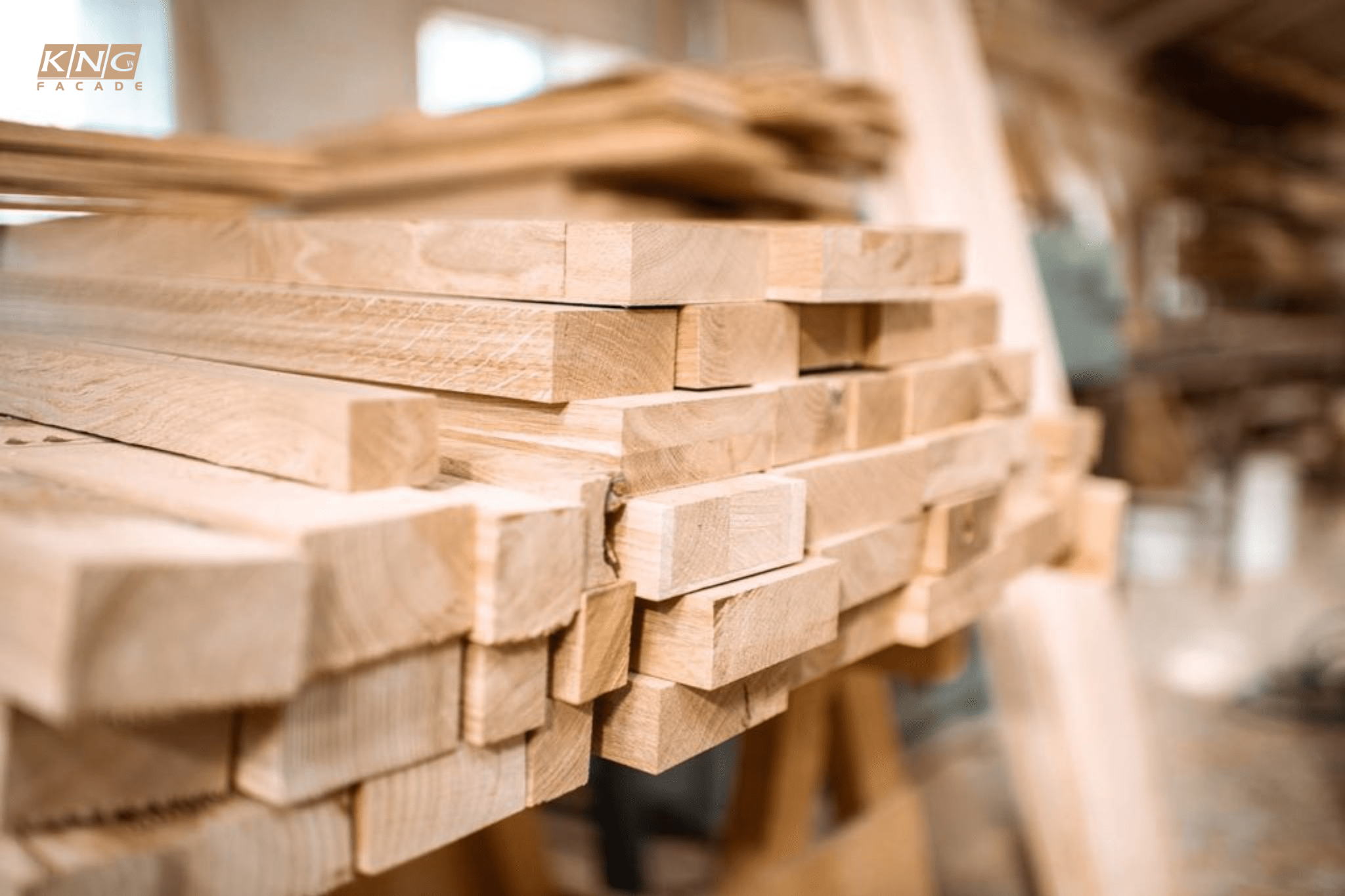 gỗ thông new zealand