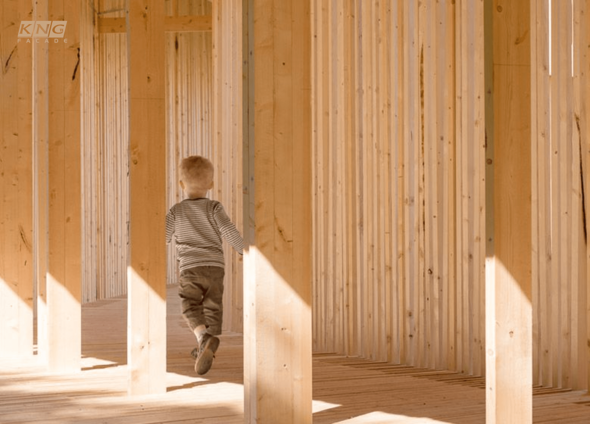 Gỗ thông nhập khâu Gỗ thông nhập khâu