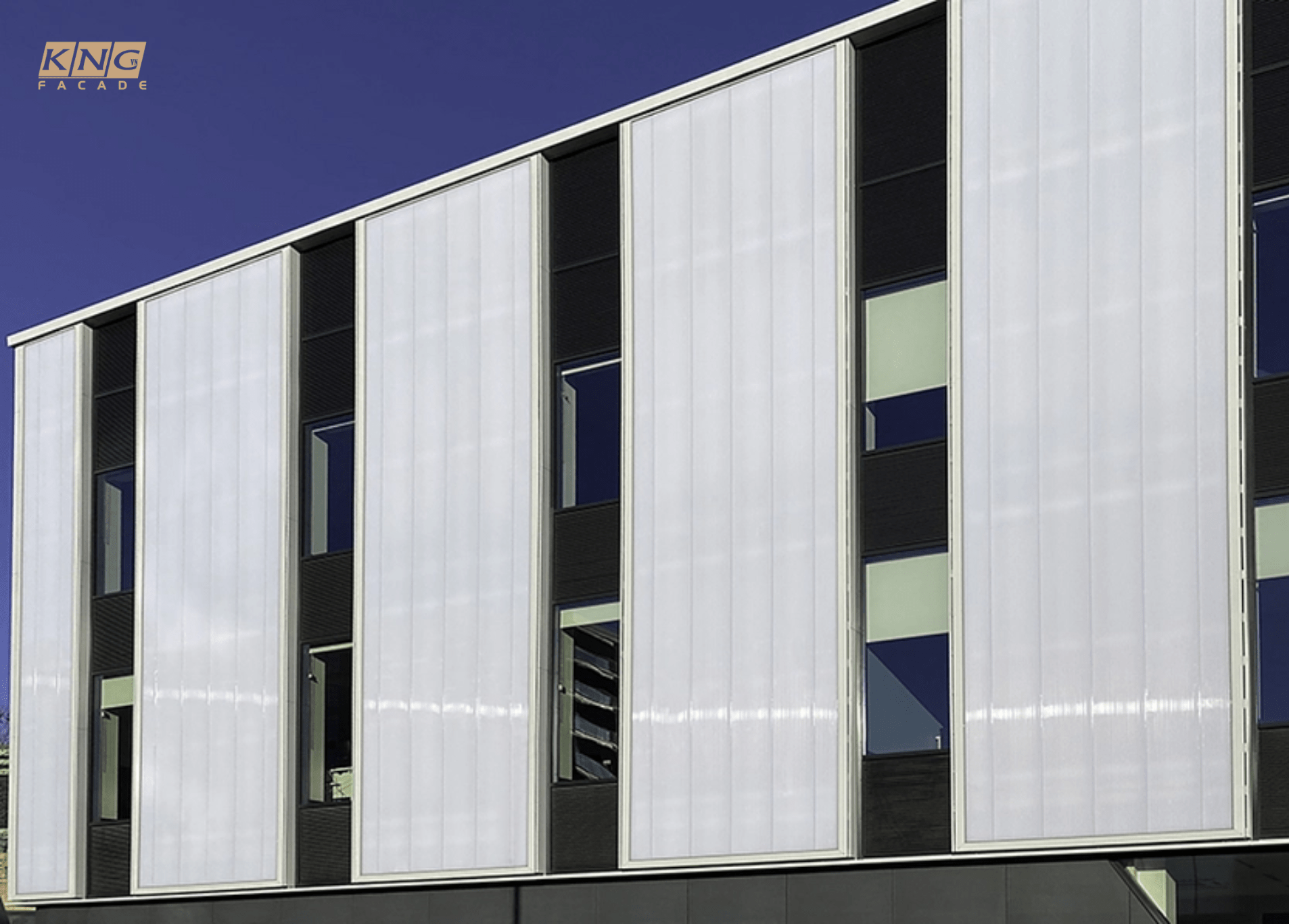 loại polycarbonate